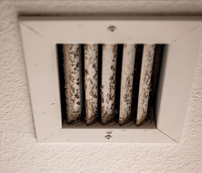 Subjective focus on mold particles on a ceiling air vent